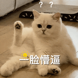 萌宠 猫咪 一脸懵逼 呆萌 可爱