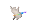 萌宠 猫咪 转圈 呆萌 可爱