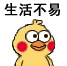 小黄鸡 崽崽 可爱 搞怪