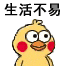 小黄鸡 崽崽 可爱 搞怪