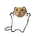 耄耋 猫咪 可爱 搞怪 哈基米