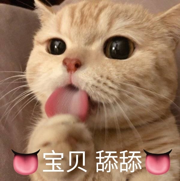 猫咪舔表情包图片