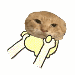耄耋 猫咪 可爱 搞怪 哈基米