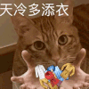 萌宠 猫咪 天冷多添衣 呆萌 可爱