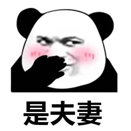 害羞熊猫头无字图片