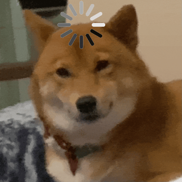 萌宠 狗狗 思考 呆萌 可爱