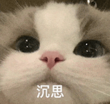 萌宠