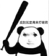 暴漫 熊猫头 规则就是用来打破的 搞怪 逗