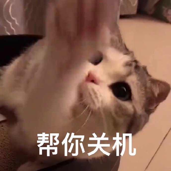 萌宠gif猫星人gif帮你关机gif可爱gif搞怪gif