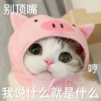 萌宠 猫咪 顶嘴 呆萌 可爱