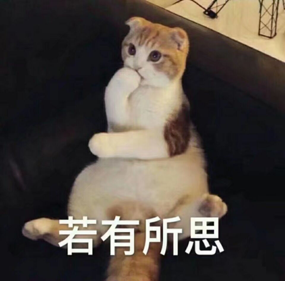 猫 思考 宇宙 表情包图片