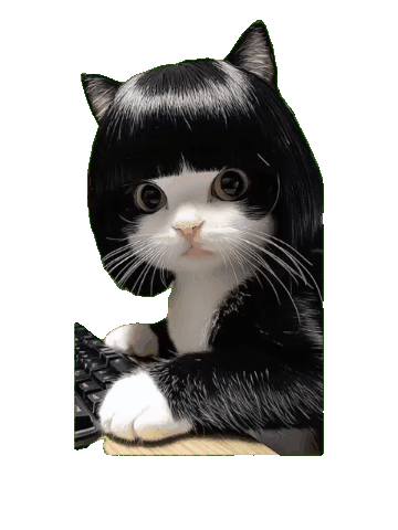 猫咪 可爱 搞怪 沙雕