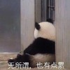 萌宠 熊猫 无所谓 也有点累 搞怪 逗
