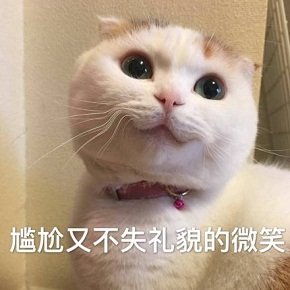 萌宠gif猫星人gif尴尬而不失礼貌的微笑gif假笑gif呆萌gif可爱gif