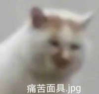 萌宠 猫星人 痛苦面具 难受 搞怪 呆萌