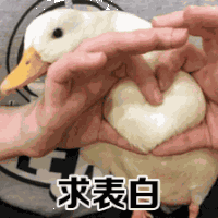 情侣 可爱 求表白 逗