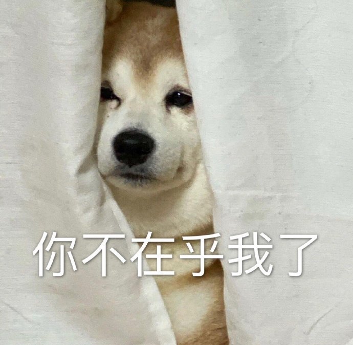 萌宠汪星人你不在乎我了难受搞怪呆萌gif动图_动态图_表情包下载_soo