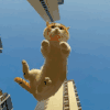 萌宠 猫咪 跳 呆萌 可爱