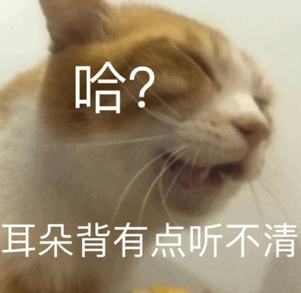 萌宠gif猫星人gif耳朵背有点听不清gif你大点声gif呆萌gif可爱gif