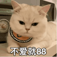 萌宠 猫咪 不爱就88 呆萌 可爱