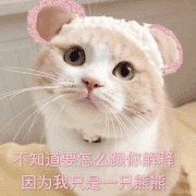 沙雕猫