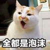 萌宠 猫星人 全都是泡沫 无奈 呆萌 可爱