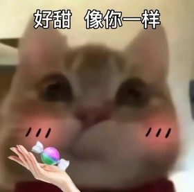 歪嘴小猫 沙雕 搞笑 逗