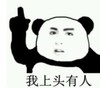 暴漫 熊猫头 我上头有人 搞笑 逗 沙雕
