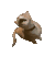 猫咪 猫meme 可爱 搞怪