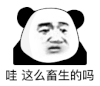 暴漫 熊猫头 畜生 搞怪 逗