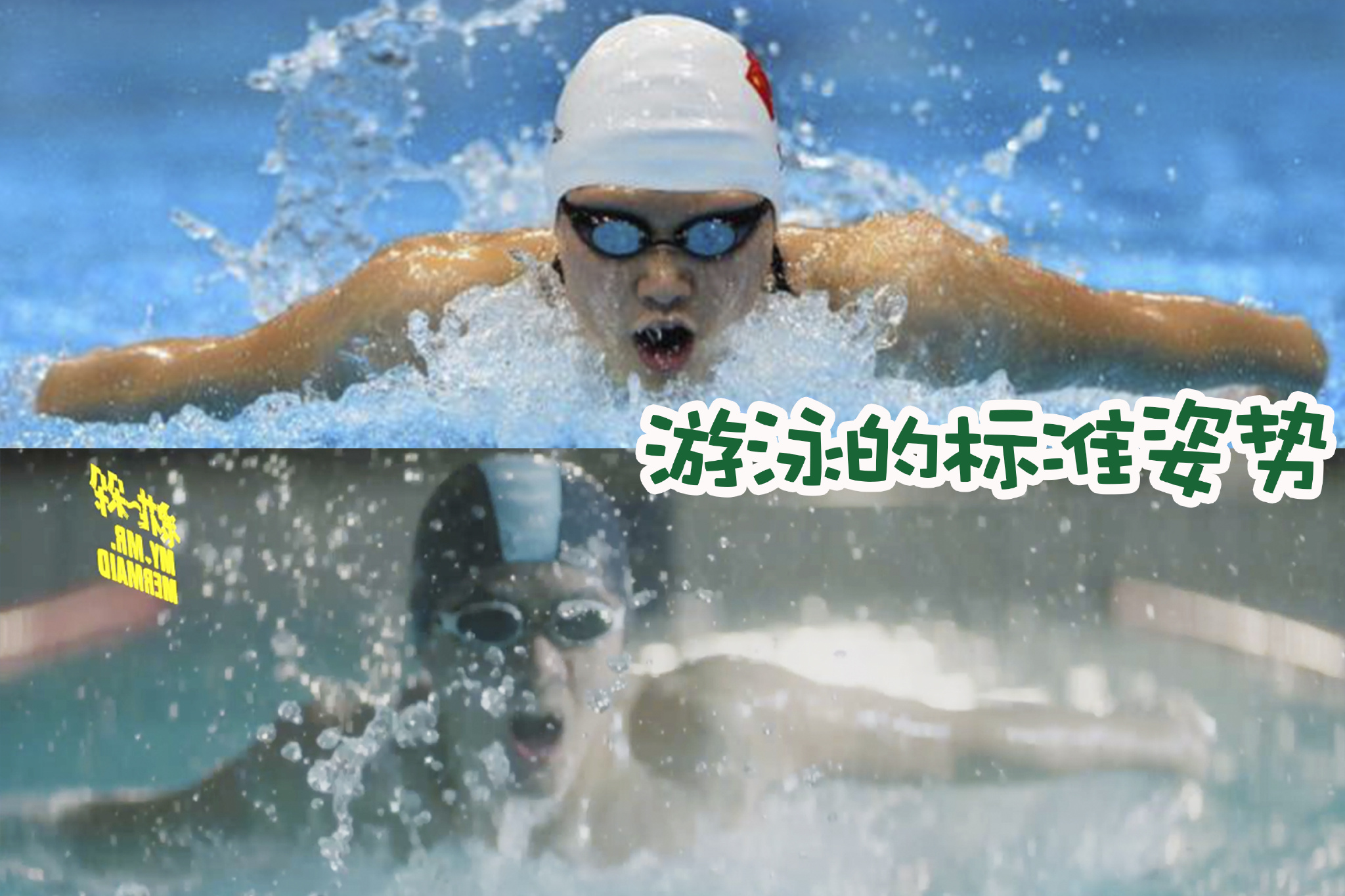 奥运游泳表情包图片