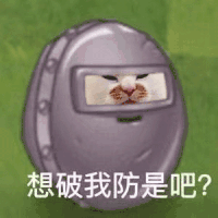 萌宠 猫咪 想破我防是吧 呆萌 可爱