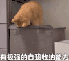 萌宠 猫咪 有极强的自我收纳能力 呆萌 可爱