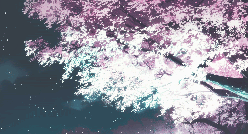 樱花星空 自然风景图片