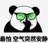暴漫 熊猫头 最怕空气突然安静 搞笑 逗 沙雕