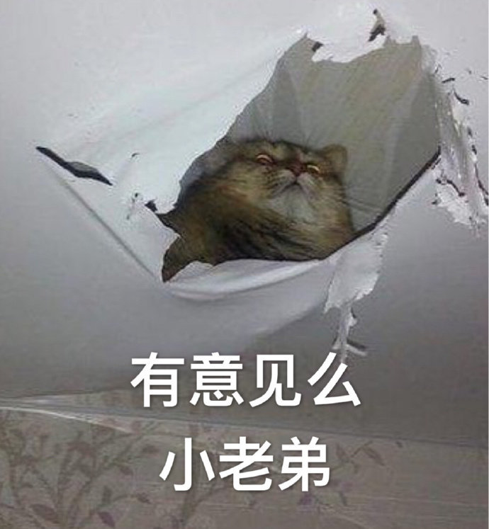 萌宠gif猫星人gif有意见吗gif小老弟gif呆萌gif可爱gif