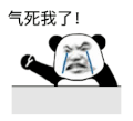 暴漫 熊猫头 气死我了 搞怪 逗