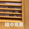 萌宠 猫星人 暗中观察 好奇 呆萌 可爱