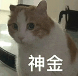 萌寵 貓咪 神金 呆萌 可愛