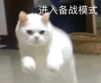 萌宠 猫星人 进入备战模式 害怕 呆萌 可爱