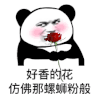 暴漫 熊猫头 沙雕 搞笑 逗