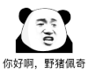 暴漫 熊猫头 你好啊野猪佩奇 搞怪 逗