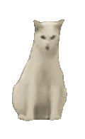 萌宠 猫咪 鬼畜 呆萌 可爱