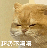 萌寵 貓咪 超級不嘻嘻 呆萌 可愛
