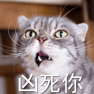 猫咪斗恶龙图片