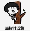 暴漫 蘑菇头 当树叶泛黄 搞笑 逗 沙雕