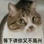 萌宠 猫咪 等下讲你又不高兴 呆萌 可爱