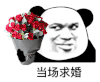 暴漫 熊猫头 当场求婚 搞怪 逗