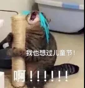 萌宠 猫星人 我也想过儿童节 六一节 呆萌 可爱