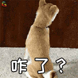 又咋了图片_又咋了动态图_又咋了表情包gif动图下载_soogif